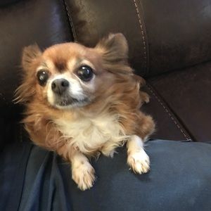 Meet your Posher, Sonya